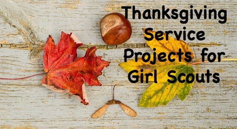 Here are some Girl Scout Service Projects for Thanksgiving. Thanksgiving Service Projects, Service Project Ideas, Girl Scouts Cadettes, Thanksgiving Service, Community Service Projects, Girl Scout Activities, Thanksgiving Projects, Daisy Scouts, Girl Scout Swap