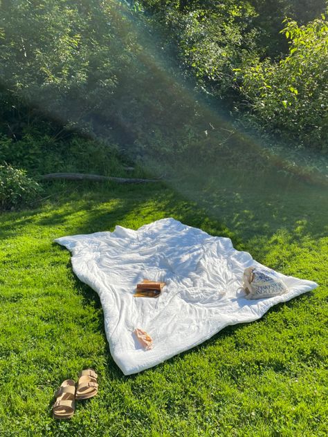 Blanket On Grass Aesthetic, Dopamine List, Picnic Scene, Park Blanket, Collection Board, Sitting Outside, Chenille Blanket, Dream Summer, Sip N Paint