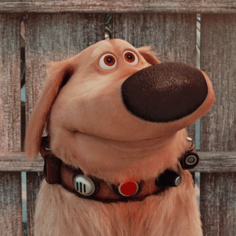 Up Pfp Pixar, Up Movie Aesthetic, Disfraz Up, Dug The Dog, Disney Up House, Pixar Quotes, Animal Cartoons, Disney Character Drawings, 2023 Aesthetic