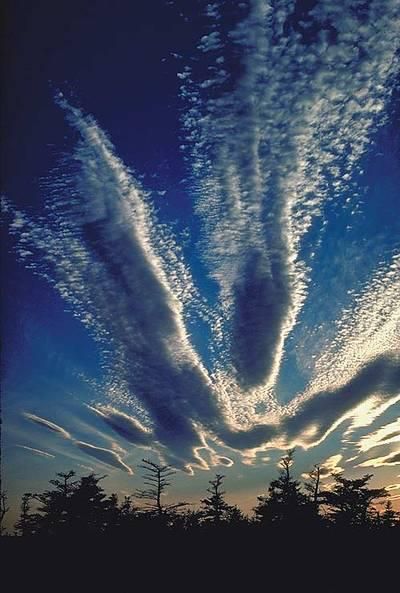 angelwings in the sky Malaikat Jibril, Beautiful Sky, Beautiful Pictures, Zen, Angel, Water, Photography, Nature