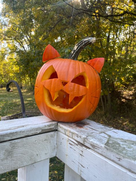 pumpkin carving of cat Halloween Punking Carving, Kids Carved Pumpkin Ideas, Pumpkin Carving Moo Deng, Simple Pumpkin Carving Idea, Freehand Pumpkin Carving, Pumpkin Carving Small Pumpkins, Carve Pumpkins Easy, Simple Cat Pumpkin Carving, Pum0kin Carving