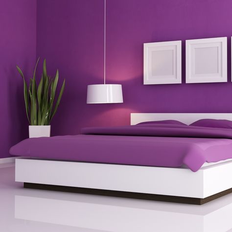 Adding deep royal purple tones to bedroom walls brings life and boldness to the space, illuminating the room with pure energy and style in an extraordinary way! #HappilacPaints #ColorsofHappiness #Purple #ShadesofPurple #roomdecor #roominspiration #interiordesign #beautifulrooms #wallpaint Modern Purple Bedroom, Purple Wall Bedroom, Purple Bedroom Walls, Purple Bedroom Design, Spa Table, Purple Bedroom Decor, Purple Room Decor, Bedroom Purple, Bedroom Color Combination