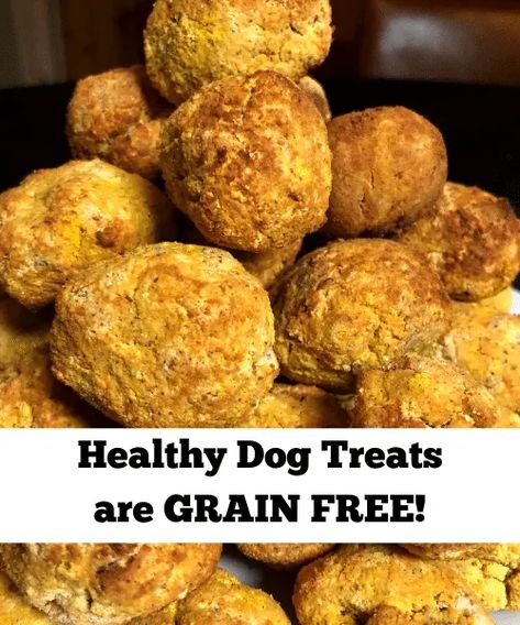 Chocolate Cheesecake Bites, Chicken Strip Recipes, Dog Treats Grain Free, Sugar Free Peanut Butter, Dog Biscuits Homemade, Low Carb Flour, Yeast Bread Recipes, Sugar Free Chocolate Chips, Low Carb Chocolate