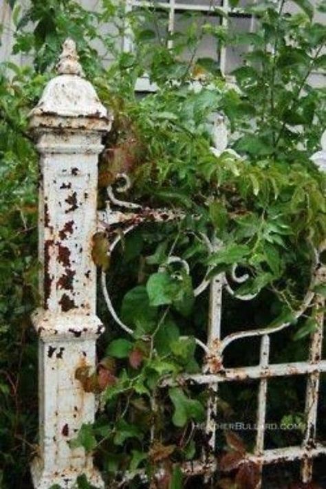 32 Charming Vintage Garden Decor Ideas You Can DIY Chic Patio, Wrought Iron Garden Gates, Old Gates, Iron Garden Gates, Garden Wallpaper, Vintage Garden Decor, Have Inspiration, The Secret Garden, Garden Gate