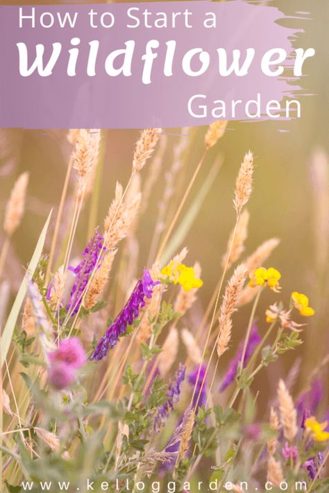 How To Make A Wildflower Garden, Planting A Wildflower Garden, How To Start A Wildflower Garden, Wildflower Garden Ideas, Planting Wildflowers, Wildflower Gardens, Wild Flower Garden, Farm Landscaping, Grow Wildflowers