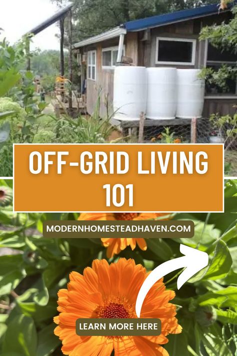 Off The Grid Living, Live Off Grid, Homestead Tips, Homesteading Tips, Off Grid Homestead, Modern Homestead, Living Off The Grid, Homesteading Ideas, Homestead House