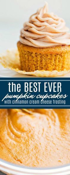 Best Frosting, Cupcakes Easy, Chelsea's Messy Apron, Cinnamon Cream Cheese, Cinnamon Cream Cheese Frosting, Pumpkin Cupcakes, Dessert Cupcakes, Pumpkin Cookies, Pumpkin Dessert