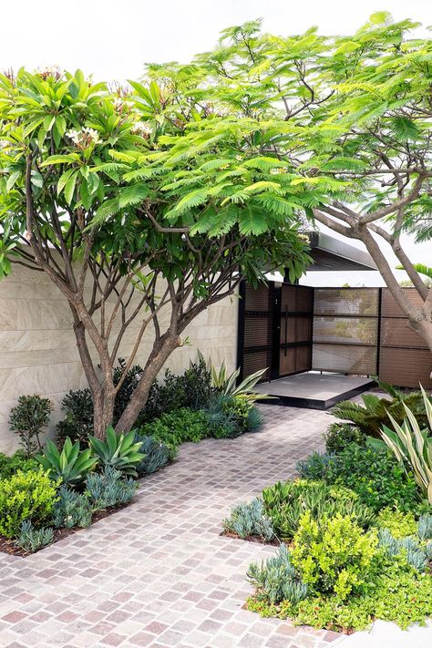 Moderne Have, Small Courtyard Gardens, Courtyard Gardens Design, Desain Lanskap, Have Inspiration, Backyard Garden Design, Beautiful Backyards, Small Garden Design, Courtyard Garden