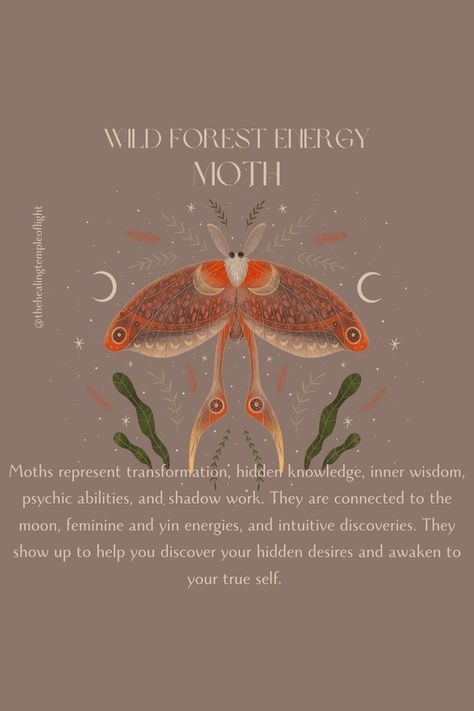 Moths In Witchcraft, Lunar Moth Symbolism, Moth Tattoo Symbolism, What Do Moths Symbolize, Insect Meaning Spiritual, Moths And Their Meanings, What Does A Moth Represent, Moth Spirit Animal, Lunar Moth Meaning