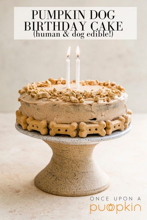 Dog Birthday Cake for Humans and Dogs Pumpkin Dog Cake, Spoiled Dog Cake, Birthday Dog Cake, Homemade Dog Cake, Dog Cake Recipe, Puppy Birthday Cakes, Cake For Birthday, Dog Cake Recipes, Dog's Birthday