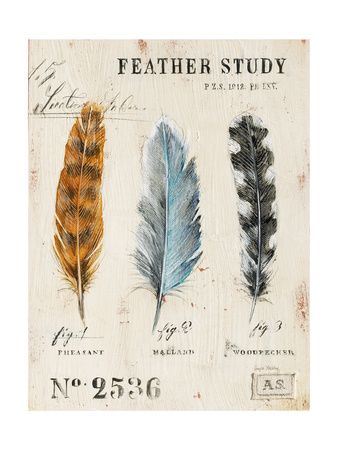 Owl Feather, Illustration Botanique, Feather Art, Spring Easter, Ink Pen, Vintage Printables, Old Paper, Mail Art, Vintage Pictures