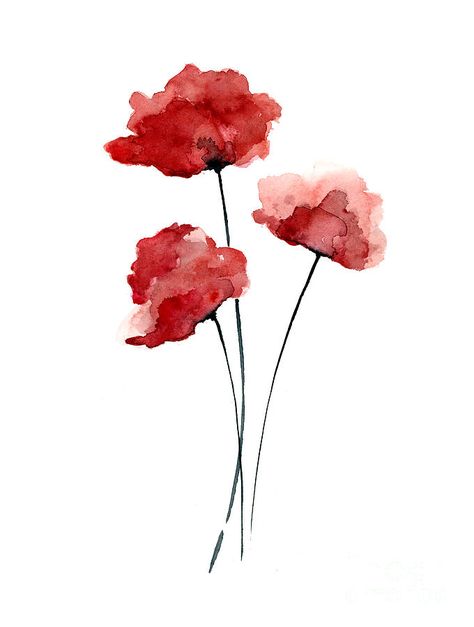 Red Watercolor Painting, Minimalist Watercolor Painting, Poppies Watercolor, Hello January, Watercolor Poppies, Minimalist Watercolor, Watercolor Red, Minimalist Flowers, Watercolor Flower Art