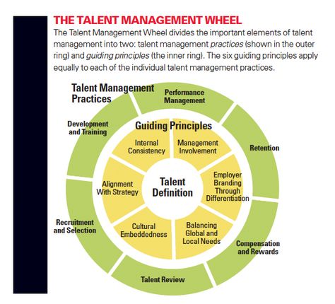 This image of the well-known Talent Management Wheel showcases the elements and guiding principles for effective talent management. (9201) People Analytics, Hr Infographic, Talent Development, Disruptive Technology, Employee Management, Practice Management, Talent Acquisition, Change Management, Talent Management