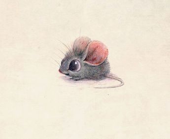 Maus Illustration, Illustration Kunst, Art Mignon, 패턴 배경화면, Art Et Illustration, Arte Animal, Fantasy Illustration, Pics Art, Pen Drawing