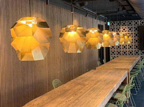 Brass Beehives at the @the_florian_amsterdam_airport 💫 The lights are designed by Marc de Groot, who was fascinated by the structure of the honeycomb. 🐝 Interior Design by: Workshop of Wonders #beehive #interiordesign #lightdesign #architects #designprojects #brass #handcrafted #amsterdam #dutchdesign #marcdegrootdesign #amsterdamdesign #bymarcdegroot Honeycomb Interior, Amsterdam Airport, Dutch Design, Bee Hive, Paper Lamp, Lighting Design, Honeycomb, Natural Light, Design Projects