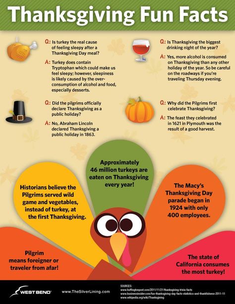 Thanksgiving Trivia and Facts - fun for all for the Thanksgiving table :) Thanksgiving Fun Facts, Thanksgiving Trivia Questions, Thanksgiving Party Food, Thanksgiving Trivia, Thanksgiving Facts, Trivia Questions And Answers, First Thanksgiving, Thanksgiving Traditions, Thanksgiving Games