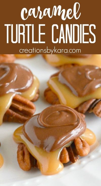 Pretzel Pecan Turtles, Handmade Candy Recipes, Homemade Turtle Candy, Pecan Turtles Recipe, Turtle Candies, Turtles Recipe, Turtle Candy, Turtle Recipe, Christmas Bakes