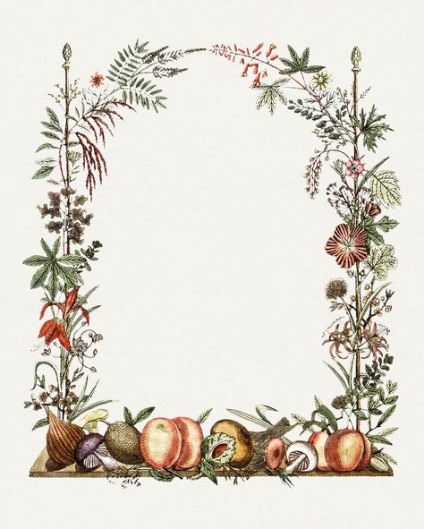 Hand drawn botanical frame. Original from Biodiversity Heritage Library. Digitally enhanced by rawpixel. | free image by rawpixel.com / Biodiversity Heritage Library (Source) Vintage Plants, Botanical Frame, Diy Wrapping, Free Illustration Images, Patterns Wallpaper, Geek Design, Hand Images, Vintage Mushroom, Nature Artwork