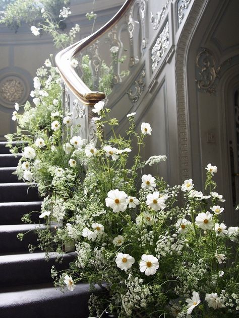 Home — JamJar Flowers Wedding Staircase, Katie White, White Cosmo, Flower Installation, Ceremony Flowers, Wedding Mood Board, Wedding Mood, Green Wedding, Wedding Designs