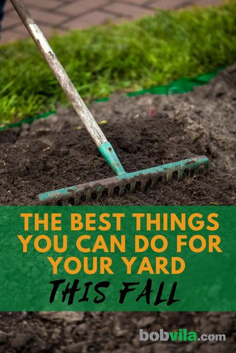 Fall Yard Prep, Fall Yard Maintenance, Homemade Lawn Fertilizer, Simple Fall Landscaping Front Yard, Fall Yard Clean Up, Fall Yard Ideas, Fall Yard Work, Yard Hacks, 2023 Landscape