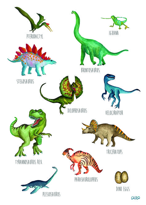 Type Of Dinosaurs, Types Of Dinosaurs Chart, Dinosaur Images Free Printable, Dinosaurs Names And Pictures, Names Of Dinosaurs, Different Dinosaurs, Dinosaur Names, Types Of Dinosaurs, Dinosaur Theme Preschool