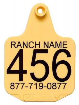 Perma-Flex Large Cattle Ear Tag - Custom Print Cattle Pens, Ranch Names, Cattle Tags, Cow Tag, Career Help, Cow Ears, Cattle Ranch, Cattle Brands, Shih Tzu Funny