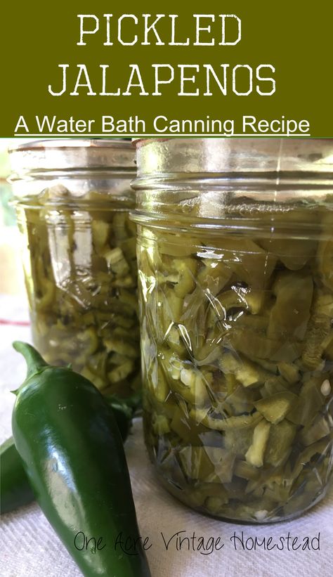 Canning Jalapeno Peppers, Recipes Dessert Easy, Wellness Warrior, Water Bath Canning Recipes, Canned Pumpkin Recipes, Pickled Jalapeno Peppers, Canned Jalapenos, Pickled Jalapenos, Canning 101