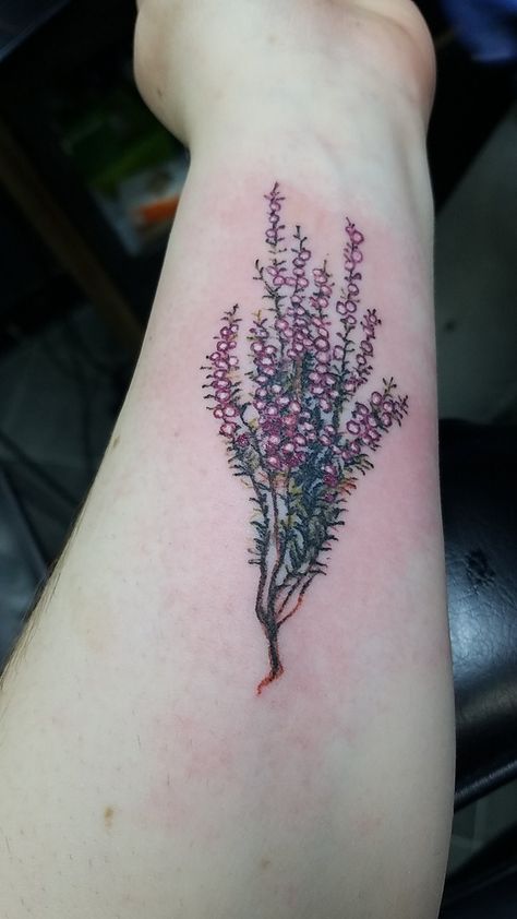 My heather tattoo Scottish Heather Tattoo, White Heather Flower, Heather Tattoos, Heather Flower Tattoo, Heather Tattoo, Scottish Tattoos, Botanical Tattoos, Thistle Tattoo, Roots Tattoo