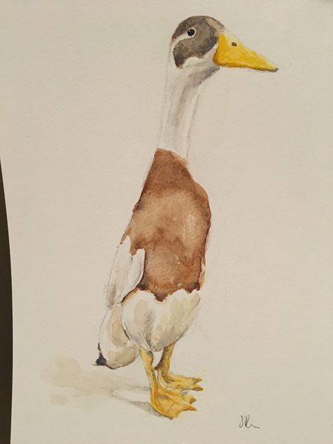 Runner Duck Drawing, Watercolour Duck, Runner Ducks, Watercolor Splatter, Bird Watercolor Paintings, Watercolor Nursery, Meaningful Drawings, Watercolor Paintings Easy, Christmas Canvas