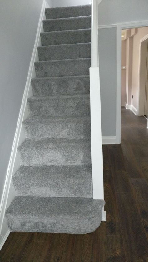 Gray Carpet Living Room Furniture, Hallway Grey Walls, Stairs Paint Color Ideas, Stairs Grey Carpet, Hallway And Landing Paint Ideas, Grey Carpets For Stairs And Landing, Hallway Grey Carpet, Grey Stair Carpet Ideas, Grey Landing And Stairs