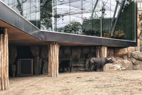 Gallery of Restaurant and Aviary at the Antwerp Zoo / Studio Farris Architects - 27 Planet Zoo Restaurant, Zoo Restaurant, Planet Games, Zoo Layout, Zoo Enclosures, Zoo Exhibit, Zoo Inspiration, Zoo Map, Zoo Design