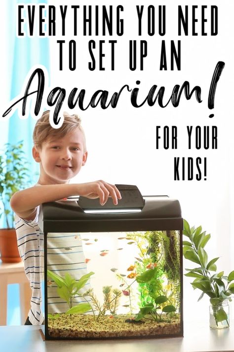 Looking for an easy beginners pet for your kids? Why not try setting up a freshwater aquarium? I have fond memories as a kid keeping fish in my room. The whole experience was memorable, setting up the tank with my mom, naming the fish, watching it swim around as I went to sleep. Recently I had the opportunity to attend a webinar with Mars Fishcare all about caring for freshwater fish in an aquarium. I’m so excited to share with you all I learned and a few clips from the webinar in this post, s Easy Care Fish Tank Aquarium, Fish Tank For Beginners, Home Aquarium Ideas Small, Classroom Fish Tank, Small Aquarium Ideas Living Rooms, Beginner Fish Tank, Small Fish Tank Ideas, Aquarium For Kids, Fish Tank For Kids