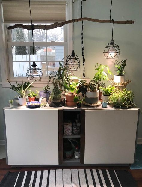 Winter Grow Lights - Visit Amazon.com to get the best products. Indoor Plant Lights, Indoor Grow Lights, Grow Light Bulbs, Snowed In, Grow Lights For Plants, Growing Plants Indoors, House Plants Decor, Plant Lighting, Room With Plants