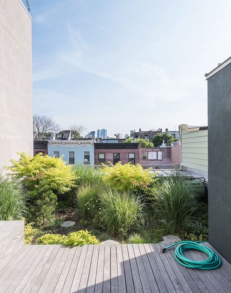 Photo 1 of 6682 in Outdoor Photos from A Rooftop Garden Completes This Urban Pastoral Home - Dwell Pergola Shade Diy, Covered Backyard, Roof Garden Design, Living Roofs, Roof Architecture, Patio Roof, Wood Patio, Terrace Design, Pergola Plans