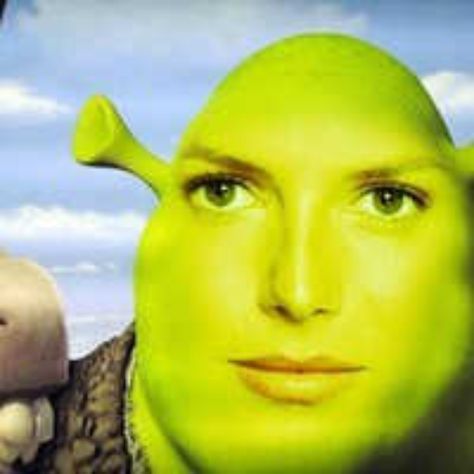 Don't worry,  It's all ogre now. Shrexy Shrek, Obama Prism, Shrek Memes, Reaction Memes, Snapchat Funny, Funny Profile, Cartoon Memes, Funny Profile Pictures, Meme Faces