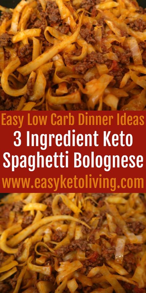 Keto Spaghetti Bolognese Recipe - Easy 3 Ingredient Low Carb Dinner Spaghetti Bolognese Recipe Easy, Budget Dinner Ideas, Bolognese Recipe Easy, Keto Spaghetti, Budget Dinner, Spaghetti Bolognese Recipe, Homemade Meat Sauce, Bolognese Recipe, Healthy Pasta