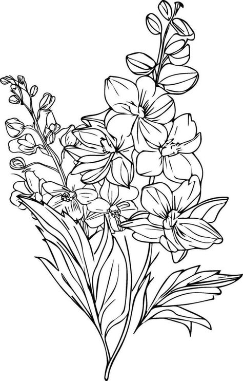 Delphinium tattoo black and white, pencil delphinium drawing, July Birth Flower Larkspur Drawing, illustration larkspur pencil art flower, delphinium flower drawing, Delphinium Flower Drawing, Delphinium Flower Tattoo, Larkspur Drawing, July Birth Flower Larkspur, Delphinium Tattoo, Flower Delphinium, Larkspur Tattoo, Delphinium Flower, Delphinium Plant