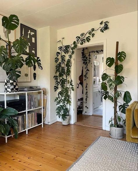 Deco Studio, Plant Decor Indoor, Cozy Room Decor, House Plants Decor, Apartment Decor Inspiration, Room With Plants, House Plants Indoor, Apartment Inspiration, Dream House Decor