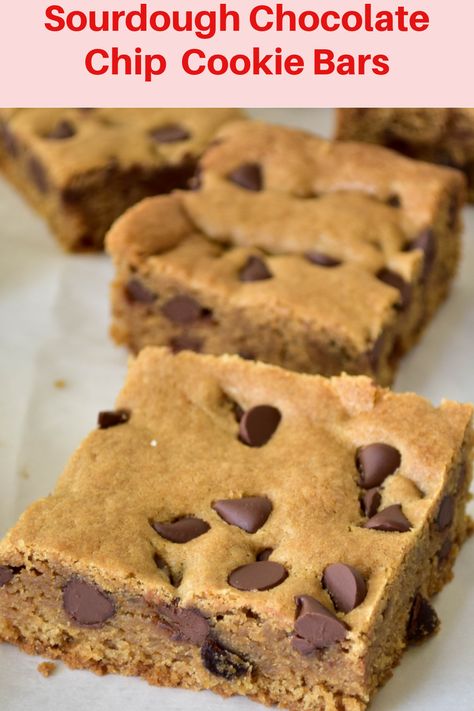 Sourdough Sugar Cookie Bars, Sourdough Bar Cookies, Sourdough Chocolate Chip Cookie Bars, Easy Sourdough Chocolate Chip Cookies, Sourdough Discard Cookie Bars, Sourdough Cookie Bars, Sourdough Bars, Sourdough Cookies Recipe, Sourdough Dessert Recipes