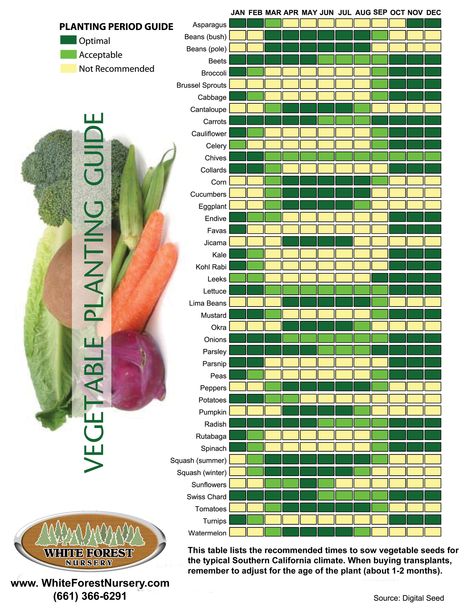 When to plant veggies 9b Gardening, Vegetable Planting Calendar, Vegetable Planting Guide, Zone 9b, When To Plant Vegetables, Veggie Gardens, Space Garden, Asparagus Beans, Planting Calendar