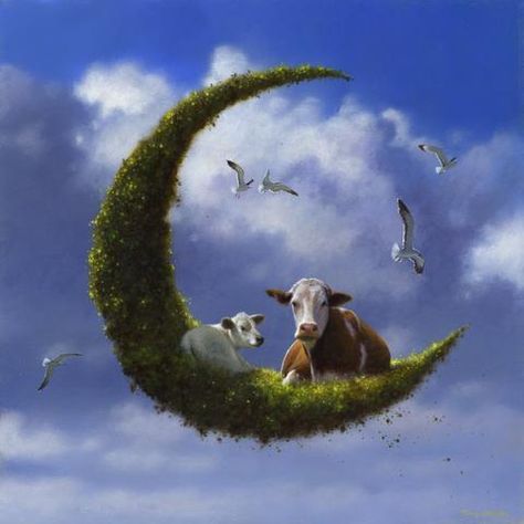 "The Cow and the Moon'   by Jimmy Lawlor Jimmy Lawlor, Cow And Moon, Moon Illustrations, Cow Drawing, Night Flight, Night Moon, Cow Art, The Cow, A Cow