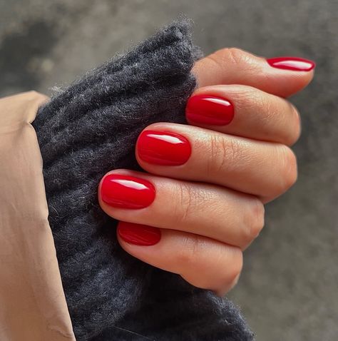 Posted by Zoe Scott. #rednail #rednaildesign. Hey there, nail enthusiasts! Get ready to embrace the bold and beautiful world of Short Red Nails – a timeless trend that's all about making a stateme... Funky Christmas Nails Short, Classic Red Nails Short, Shorter Red Nails, Red Nails December, Red Gel Manicure Short Nails, Red Holiday Nails Square, December Short Nail Ideas, Christmas Red Nails Short, 2024 Red Nails