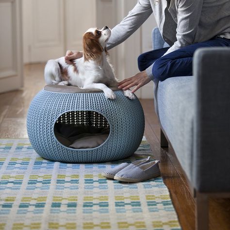 Cat Igloo, Dog Cave Bed, Heated Cat Bed, Dog Cave, Cave Bed, Luxury Lounge, Lounge Bed, Black Dining Room Chairs, Cosy Spaces