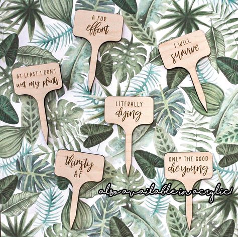 Plant Signs Diy, Plant Sticks, Baby Gift Tags, Acrylic Tags, Plant Puns, Plant Signs, Label Marker, Garden Labels, Plant Tags