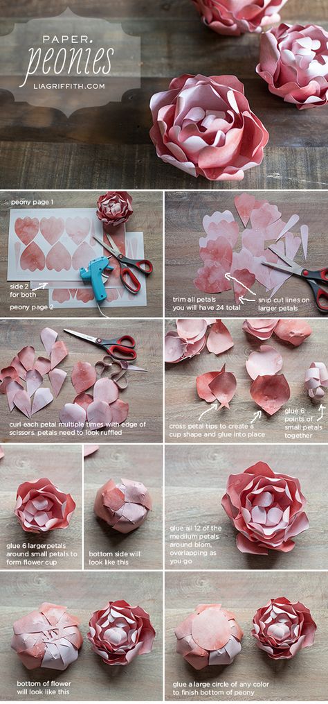 Paper Peonies (template and tutorial) Paper Peony Template, Bilik Perempuan, Making Paper Flowers, Paper Roses Diy, Vika Papper, Kerajinan Diy, Make Paper Flowers, Diy Flores, Fleurs Diy