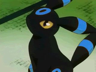 Pokemon Shiny Umbreon, Shiny Umbreon Pfp, Shiny Leafeon, Shiny Pokemon Art, Umbreon Pfp, Eevee Party, Pokémon Teams, Shiny Umbreon, Umbreon Pokemon