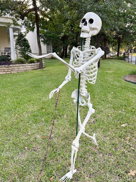 Decorating Yard With Skeletons, Halloween Front Yard Skeletons, Best Skeleton Displays, Skeleton In Front Yard, How To Decorate A Skeleton For Halloween, Ideas For Skeleton Decorations, How To Get Skeletons To Stand, How To Prop Up A Skeleton, Halloween Ideas With Skeletons