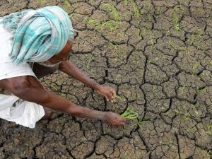 monsoon india drought Farmer Painting, Crop Insurance, Income Support, Indian Constitution, Times Of India, Social Marketing, State Government, Web Marketing, Supreme Court