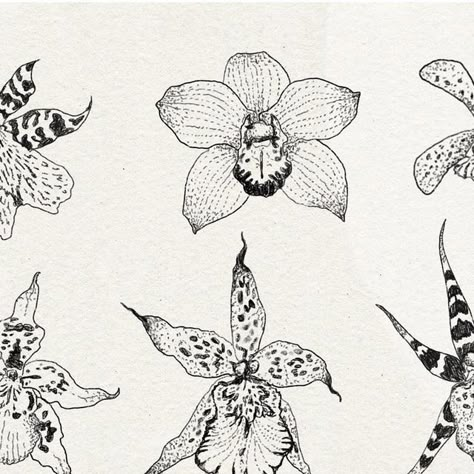 Orchid Postage Stamp Tattoo, Orchid Tattoo Sketch, Dark Orchid Tattoo, Orchid Tattoo Stencil, Cymbidium Orchid Tattoo, Wild Orchid Tattoo, Orchid Tattoo Black And White, Spider Orchid Tattoo, Orchid Stamp Tattoo