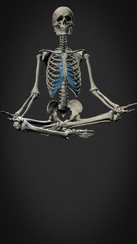 Skeleton Full Body Reference, Human Skeleton Anatomy, Skeleton Anatomy, Skeleton Drawings, Man Anatomy, Anatomy Sculpture, Human Body Anatomy, Human Anatomy Drawing, Human Skeleton